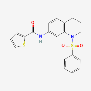 molecular formula C20H18N2O3S2 B2706588 N-[1-(benzenesulfonyl)-1,2,3,4-tetrahydroquinolin-7-yl]thiophene-2-carboxamide CAS No. 1005299-36-4