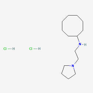 molecular formula C14H30Cl2N2 B2706680 N-(2-Pyrrolidin-1-ylethyl)cyclooctanamine;dihydrochloride CAS No. 2416237-20-0