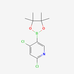 B2707234 2,4-Dichloropyridine-5-boronic acid pinacol ester CAS No. 1070893-11-6; 1622217-00-8