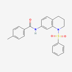 molecular formula C23H22N2O3S B2707575 N-[1-(benzenesulfonyl)-1,2,3,4-tetrahydroquinolin-7-yl]-4-methylbenzamide CAS No. 1005301-82-5