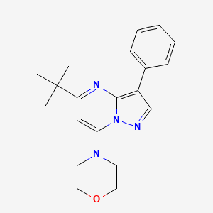 molecular formula C20H24N4O B2708119 4-(5-(Tert-butyl)-3-phenylpyrazolo[1,5-a]pyrimidin-7-yl)morpholine CAS No. 896846-45-0
