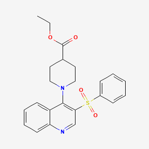 molecular formula C23H24N2O4S B2708377 ethyl 1-[3-(benzenesulfonyl)quinolin-4-yl]piperidine-4-carboxylate CAS No. 895644-60-7
