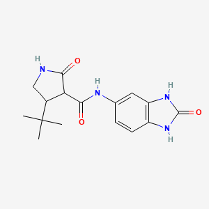 4-tert-butyl-2-oxo-N-(2-oxo-2,3-dihydro-1H-1,3-benzodiazol-5-yl)pyrrolidine-3-carboxamide