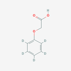 molecular formula C8H8O3 B027105 Phenoxyacetic acid-d5 CAS No. 154492-74-7