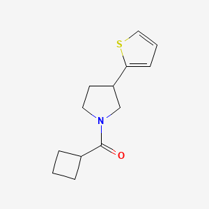 molecular formula C13H17NOS B2713302 1-Cyclobutanecarbonyl-3-(thiophen-2-yl)pyrrolidine CAS No. 2320601-82-7