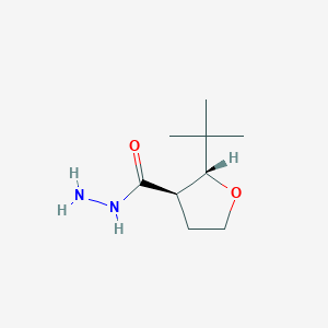 (2R,3R)-2-Tert-butyloxolane-3-carbohydrazide