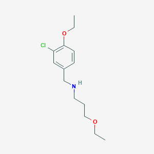 molecular formula C14H22ClNO2 B271626 N-(3-chloro-4-ethoxybenzyl)-3-ethoxypropan-1-amine 