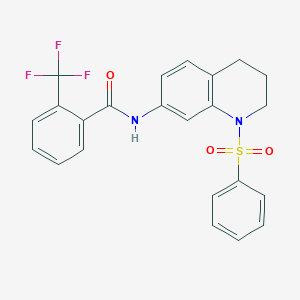 molecular formula C23H19F3N2O3S B2716446 N-[1-(benzenesulfonyl)-1,2,3,4-tetrahydroquinolin-7-yl]-2-(trifluoromethyl)benzamide CAS No. 1005299-21-7