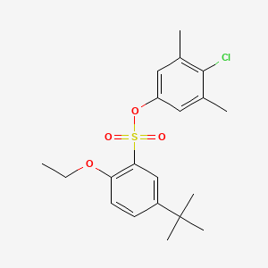 4-Chloro-3,5-dimethylphenyl 5-tert-butyl-2-ethoxybenzene-1-sulfonate