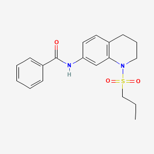molecular formula C19H22N2O3S B2719554 N-[1-(propane-1-sulfonyl)-1,2,3,4-tetrahydroquinolin-7-yl]benzamide CAS No. 946225-40-7