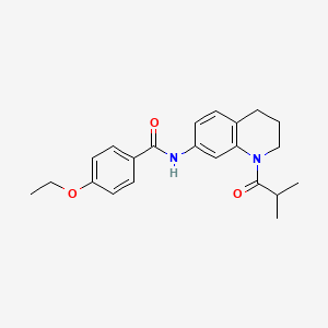 4-ethoxy-N-(1-isobutyryl-1,2,3,4-tetrahydroquinolin-7-yl)benzamide