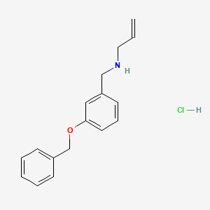 {[3-(Benzyloxy)phenyl]methyl}(prop-2-en-1-yl)amine hydrochloride