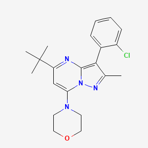 molecular formula C21H25ClN4O B2721645 4-(5-(Tert-butyl)-3-(2-chlorophenyl)-2-methylpyrazolo[1,5-a]pyrimidin-7-yl)morpholine CAS No. 902048-99-1
