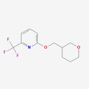 2-[(Oxan-3-yl)methoxy]-6-(trifluoromethyl)pyridine