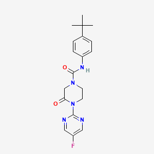 molecular formula C19H22FN5O2 B2722263 N-(4-Tert-butylphenyl)-4-(5-fluoropyrimidin-2-yl)-3-oxopiperazine-1-carboxamide CAS No. 2320861-68-3