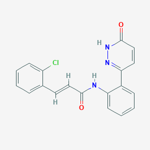 (E)-3-(2-chlorophenyl)-N-(2-(6-oxo-1,6-dihydropyridazin-3-yl)phenyl)acrylamide