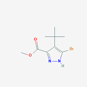 molecular formula C9H13BrN2O2 B2723067 Methyl 5-bromo-4-tert-butyl-1H-pyrazole-3-carboxylate CAS No. 2103420-74-0
