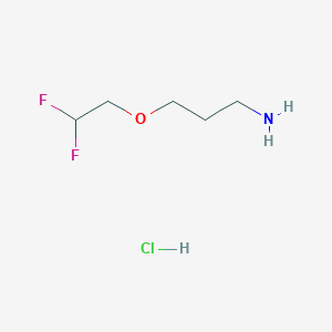 3-(2,2-Difluoroethoxy)propan-1-amine hydrochloride