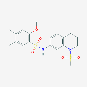 molecular formula C19H24N2O5S2 B2724354 2-methoxy-4,5-dimethyl-N-(1-(methylsulfonyl)-1,2,3,4-tetrahydroquinolin-7-yl)benzenesulfonamide CAS No. 904810-87-3