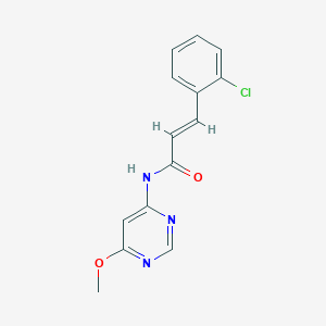 (E)-3-(2-chlorophenyl)-N-(6-methoxypyrimidin-4-yl)acrylamide
