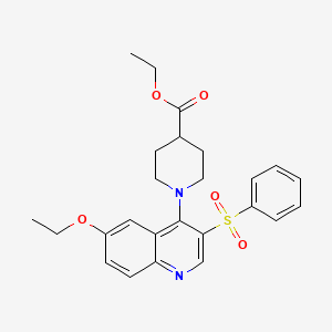 molecular formula C25H28N2O5S B2726111 ethyl 1-[3-(benzenesulfonyl)-6-ethoxyquinolin-4-yl]piperidine-4-carboxylate CAS No. 895647-32-2