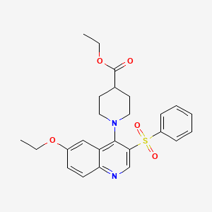 Ethyl 1-(6-ethoxy-3-(phenylsulfonyl)quinolin-4-yl)piperidine-4-carboxylate