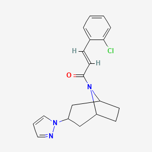 (E)-1-((1R,5S)-3-(1H-pyrazol-1-yl)-8-azabicyclo[3.2.1]octan-8-yl)-3-(2-chlorophenyl)prop-2-en-1-one