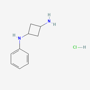 molecular formula C10H15ClN2 B2730383 N1-phenylcyclobutane-1,3-diamine hydrochloride CAS No. 2094150-84-0