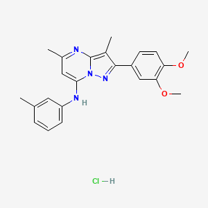 molecular formula C23H25ClN4O2 B2730471 2-(3,4-dimethoxyphenyl)-3,5-dimethyl-N-(m-tolyl)pyrazolo[1,5-a]pyrimidin-7-amine hydrochloride CAS No. 1216750-75-2