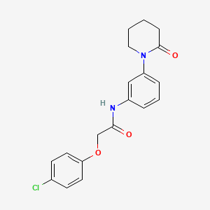 2-(4-chlorophenoxy)-N-(3-(2-oxopiperidin-1-yl)phenyl)acetamide