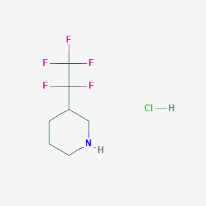 3-(1,1,2,2,2-Pentafluoroethyl)piperidine;hydrochloride
