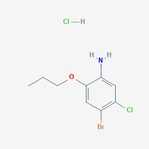 molecular formula C9H12BrCl2NO B2734549 4-Bromo-5-chloro-2-propoxyaniline HCl CAS No. 1400644-27-0