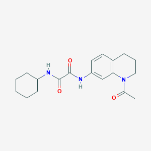 molecular formula C19H25N3O3 B2735034 N-(1-acetyl-1,2,3,4-tetrahydroquinolin-7-yl)-N'-cyclohexylethanediamide CAS No. 898424-10-7