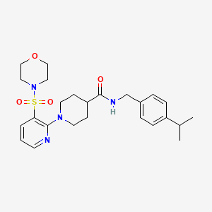N-(3-morpholin-4-ylpropyl)-3-[2-(phenylsulfonyl)ethyl]-1,2,4-oxadiazole-5-carboxamide