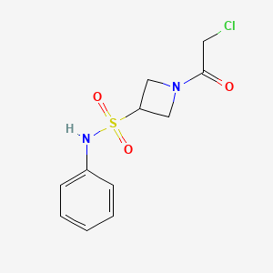 1-(2-Chloroacetyl)-N-phenylazetidine-3-sulfonamide