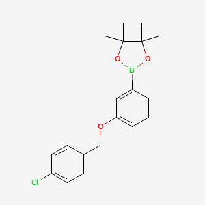 molecular formula C19H22BClO3 B2738387 1,3,2-Dioxaborolane, 2-[3-[(4-chlorophenyl)methoxy]phenyl]-4,4,5,5-tetramethyl- CAS No. 2246811-63-0