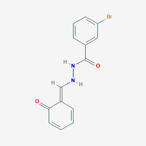 molecular formula C14H11BrN2O2 B273877 3-bromo-N'-[(E)-(6-oxocyclohexa-2,4-dien-1-ylidene)methyl]benzohydrazide 