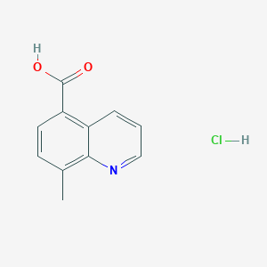 molecular formula C11H10ClNO2 B2739795 8-Methylquinoline-5-carboxylic acid hydrochloride CAS No. 2344685-21-6