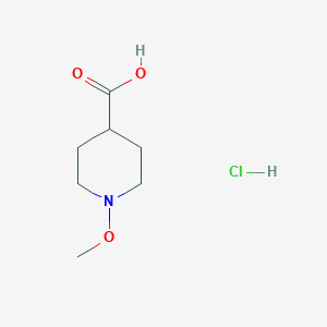 molecular formula C7H14ClNO3 B2740071 1-Methoxypiperidine-4-carboxylic acid hydrochloride CAS No. 1909312-44-2