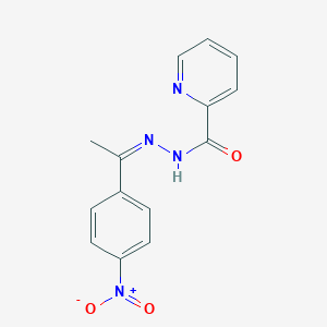 molecular formula C14H12N4O3 B274177 N'-(1-{4-nitrophenyl}ethylidene)-2-pyridinecarbohydrazide 