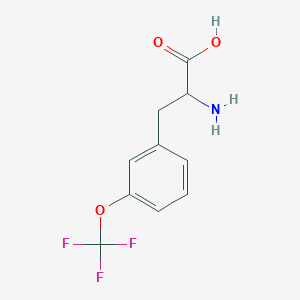 molecular formula C10H10F3NO3 B2744597 3-(Trifluoromethoxy)-DL-phenylalanine CAS No. 439587-14-1