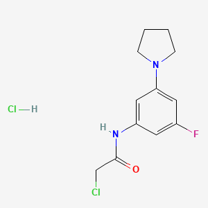 2-Chloro-N-(3-fluoro-5-pyrrolidin-1-ylphenyl)acetamide;hydrochloride