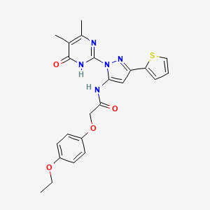 N-(1-(4,5-Dimethyl-6-oxo-1,6-dihydropyrimidin-2-yl)-3-(thiophen-2-yl)-1H-pyrazol-5-yl)-2-(4-ethoxyphenoxy)acetamide