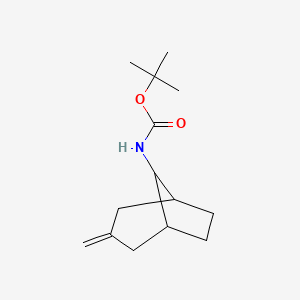 molecular formula C14H23NO2 B2745687 tert-butyl N-{3-methylidenebicyclo[3.2.1]octan-8-yl}carbamate CAS No. 2168116-64-9