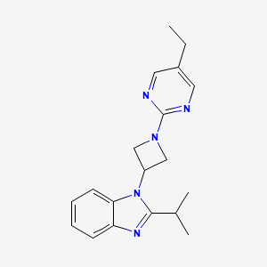 molecular formula C19H23N5 B2745784 1-[1-(5-Ethylpyrimidin-2-yl)azetidin-3-yl]-2-propan-2-ylbenzimidazole CAS No. 2415551-68-5