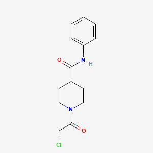 1-(2-chloroacetyl)-N-phenylpiperidine-4-carboxamide