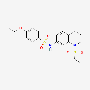 molecular formula C19H24N2O5S2 B2748027 N-[1-(ethanesulfonyl)-1,2,3,4-tetrahydroquinolin-7-yl]-4-ethoxybenzene-1-sulfonamide CAS No. 946327-36-2