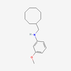 N-(cyclooctylmethyl)-3-methoxyaniline