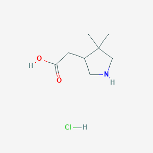 2-(4,4-Dimethylpyrrolidin-3-yl)acetic acid;hydrochloride