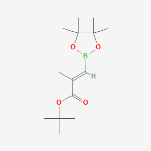 tert-butyl (2E)-2-methyl-3-(tetramethyl-1,3,2-dioxaborolan-2-yl)prop-2-enoate, E